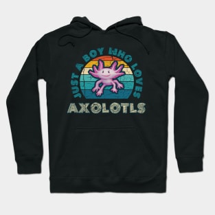 Just a Boy who Loves Axolotls Hoodie